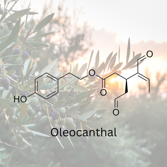 Oleocanthal: An Introduction